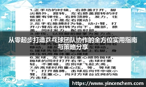从零起步打造乒乓球团队协作的全方位实用指南与策略分享