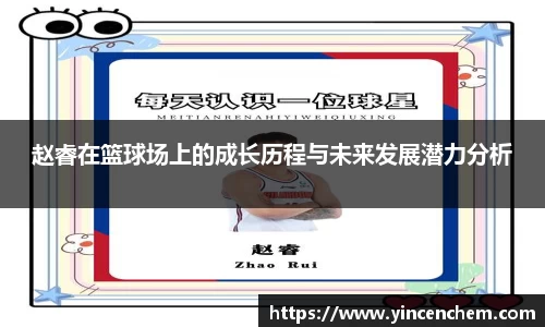 赵睿在篮球场上的成长历程与未来发展潜力分析