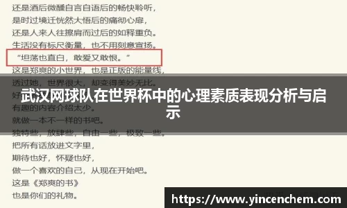 武汉网球队在世界杯中的心理素质表现分析与启示